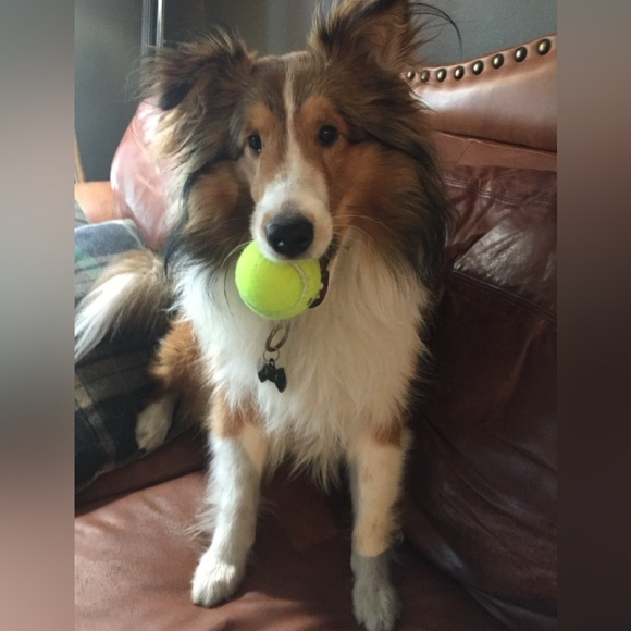 Meet your Posher, Paris - Picture 15 of 16